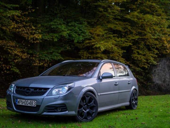 Modèles de Voitures à Éviter pour Une Fiabilité à Long Terme